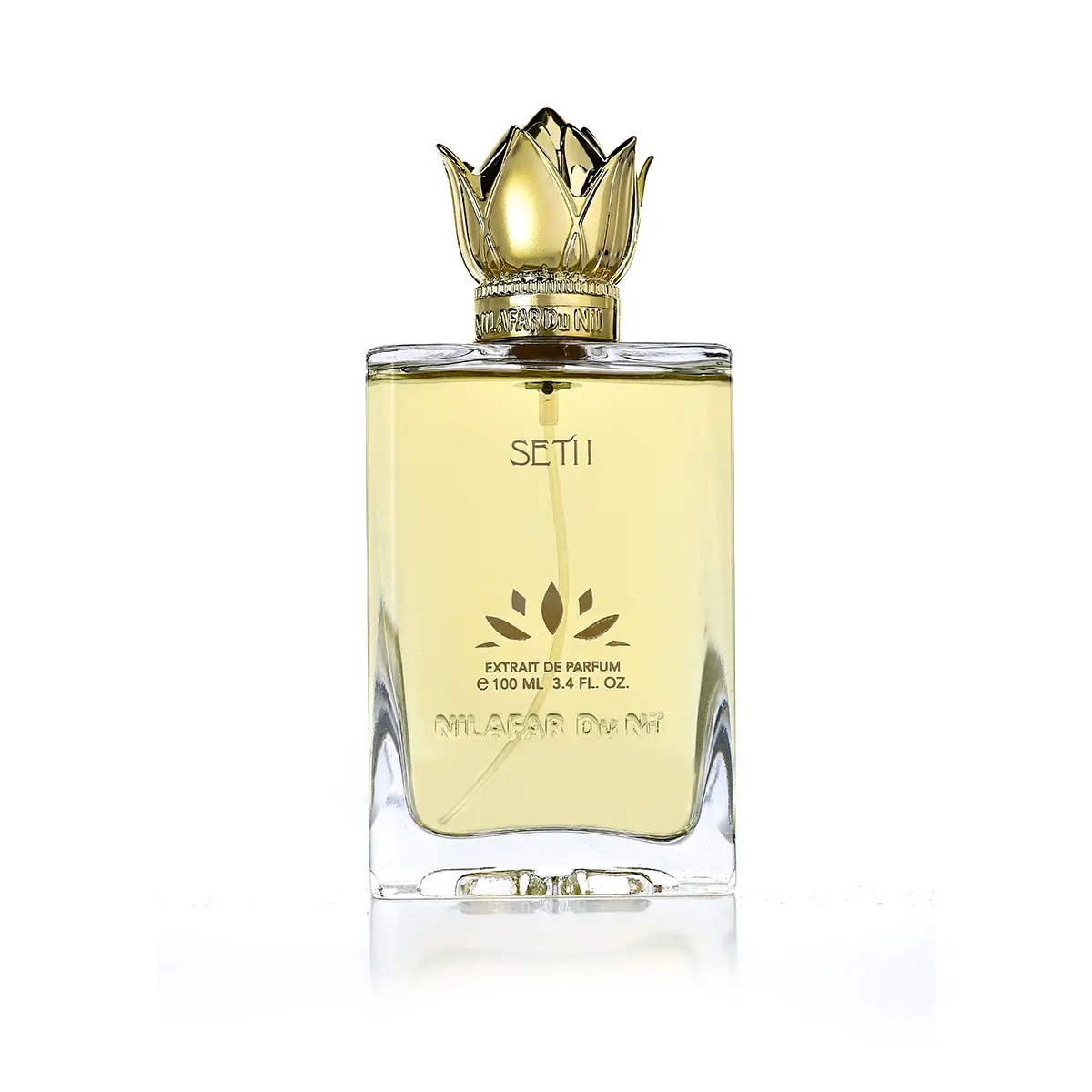 seti_1-main SETI 1 - سيتي 1 - الصورة 1