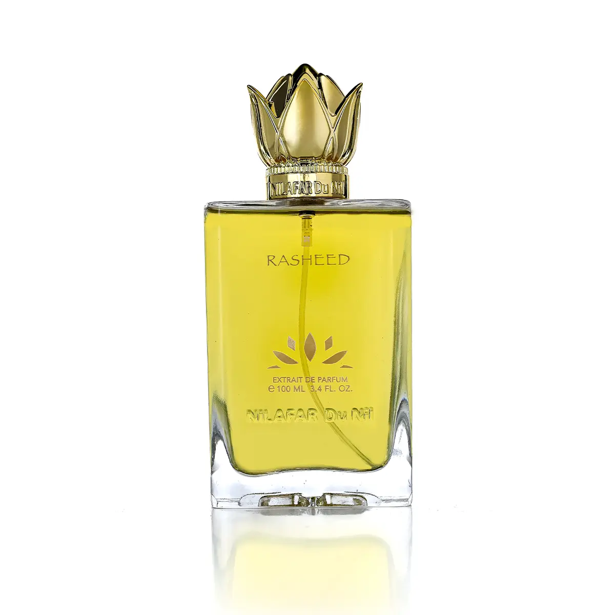 rasheed-main.webp RASHEED - الصورة 1