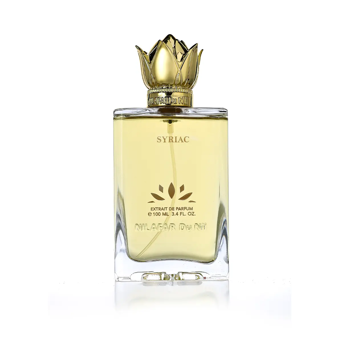 syriac-main.webp SYRIAC - الصورة 1